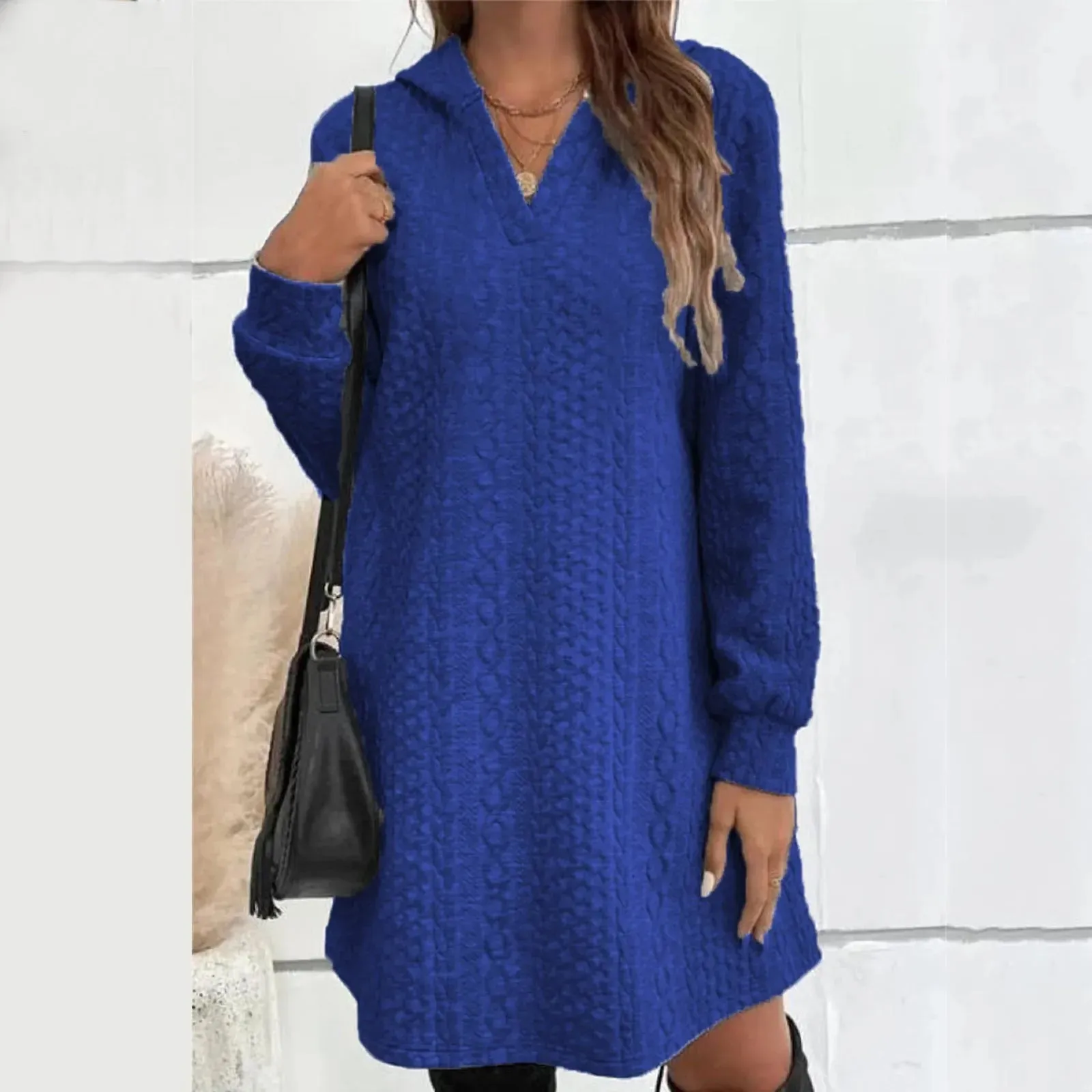 Basic Hooded Daily Going Out Fashion Solid Long Sleeve Casual Women's Dress